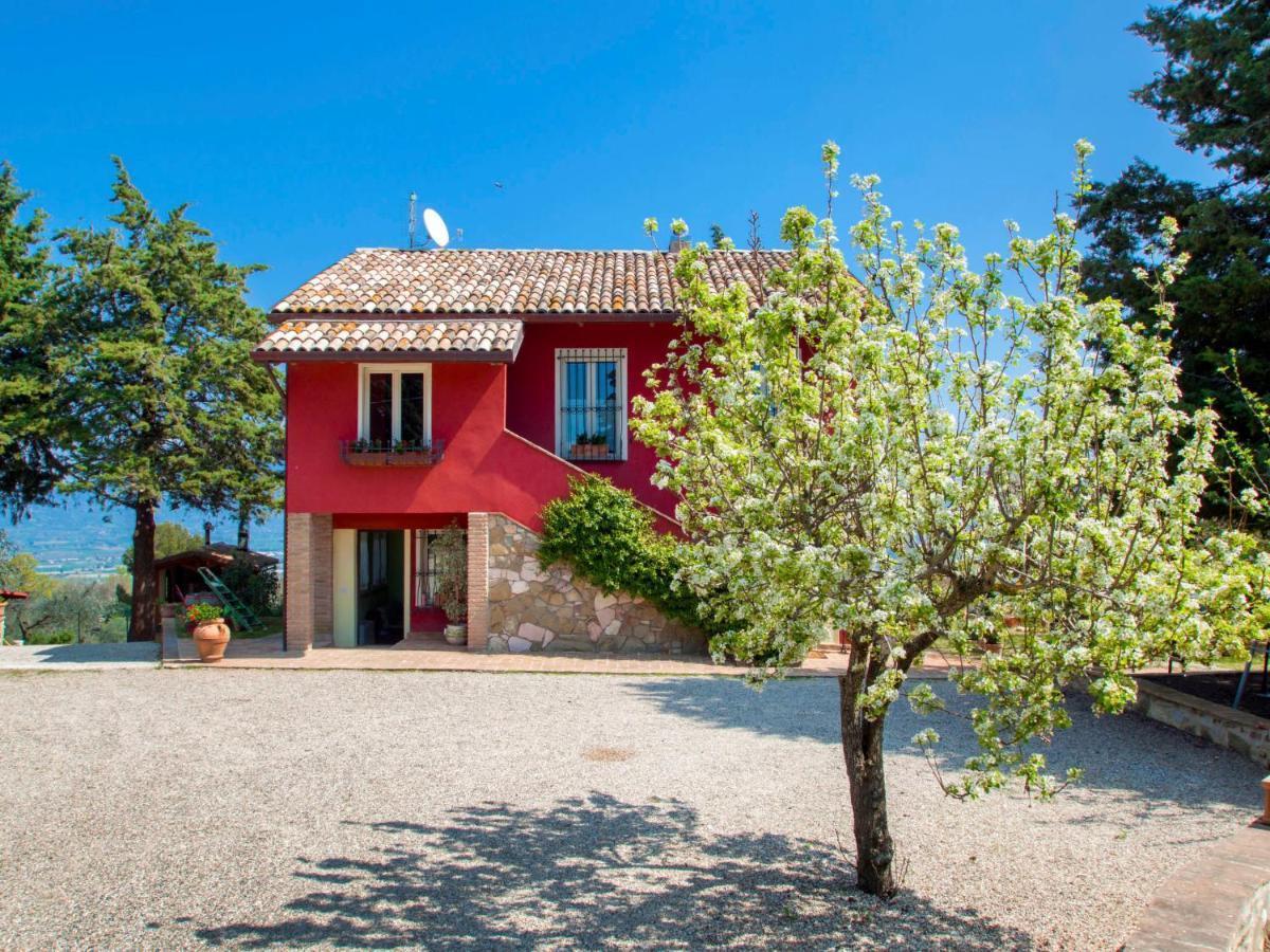 Holiday Home La Letizia By Interhome Collemancio 外观 照片